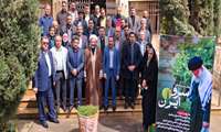 کاشت ۳ اصله نهال زیتون در اصفهان؛ ادامه پویش «سرو ایران» با توزیع ۴۰۰۰ نهال